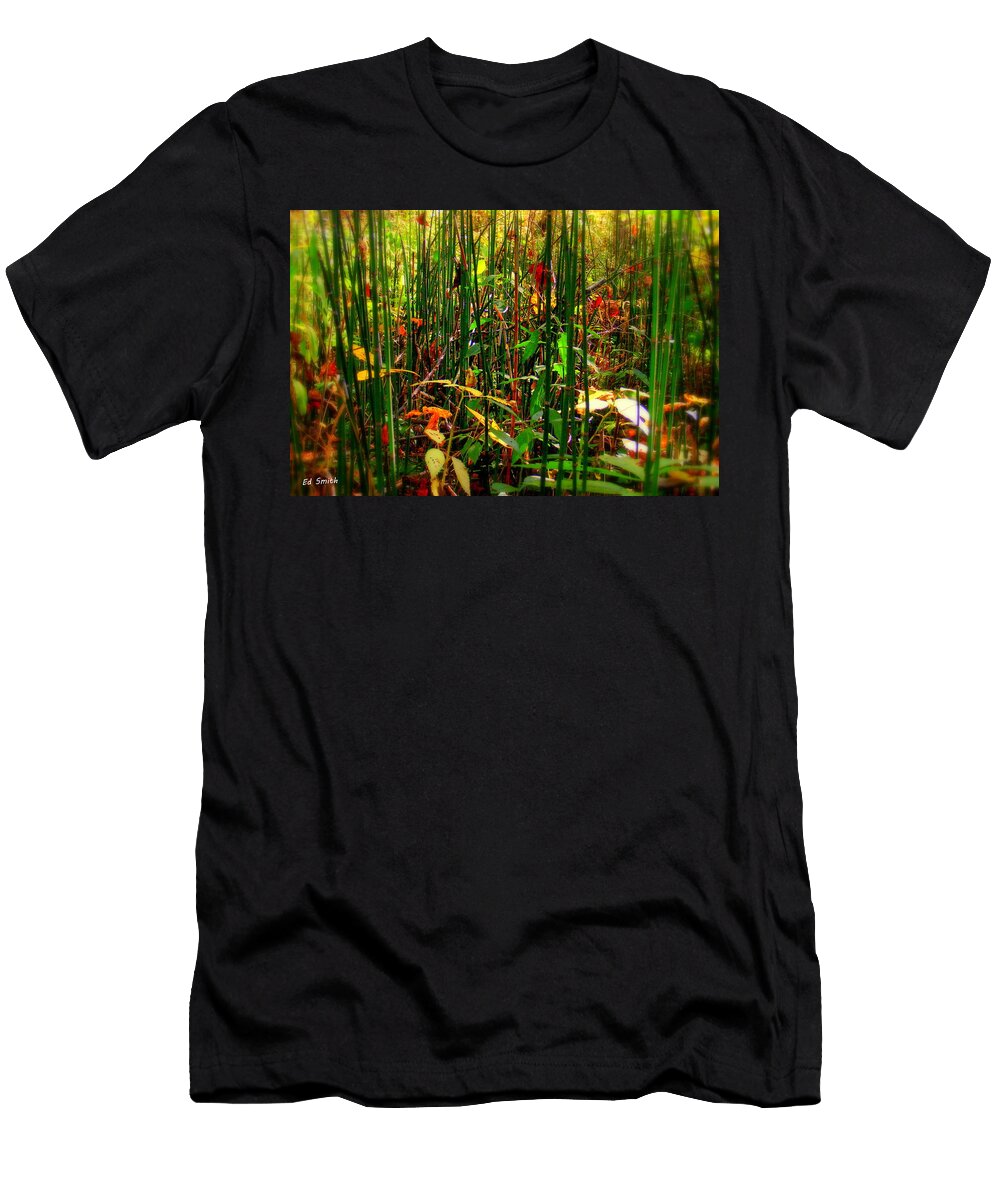 Juniors Jungle Ed Smith T-Shirt