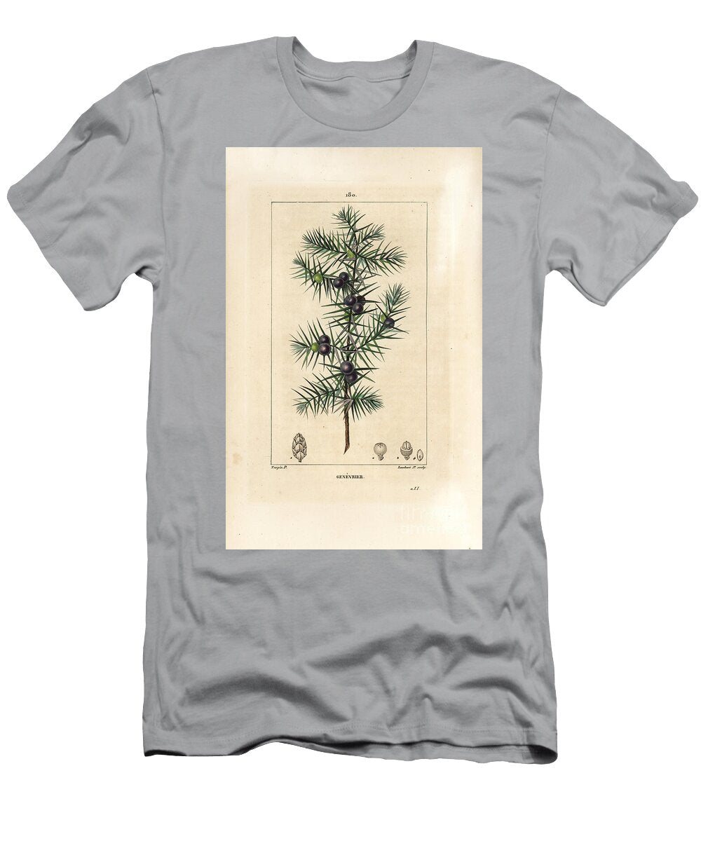 Juniper Tree Juniperus Vulgaris Showing Leaf Berry and Stalk Pierre Jean Francois Turpin T-Shirt