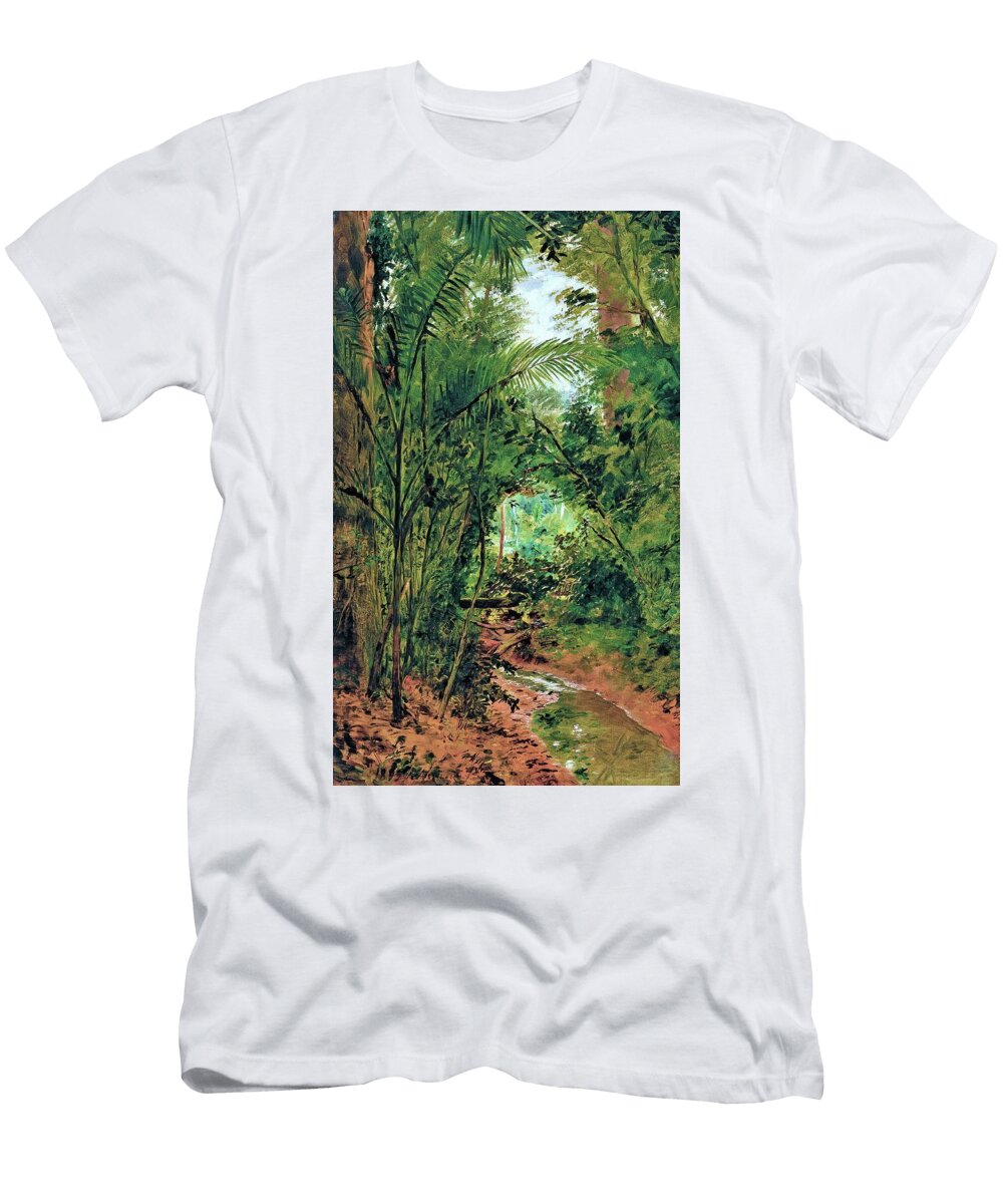 Landscape At the Rio Das Pedras Digital Remastered Edition Jose Ferraz De Almeida Junior T-Shirt