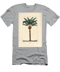 Large Branch or Large Cycas Queen Sago Cycas Circinalis Showing Leaf Seed and Trunk Pierre Jean Francois Turpin T-Shirt