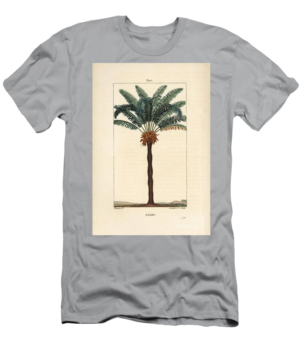 Large Branch or Large Cycas Queen Sago Cycas Circinalis Showing Leaf Seed and Trunk Pierre Jean Francois Turpin T-Shirt