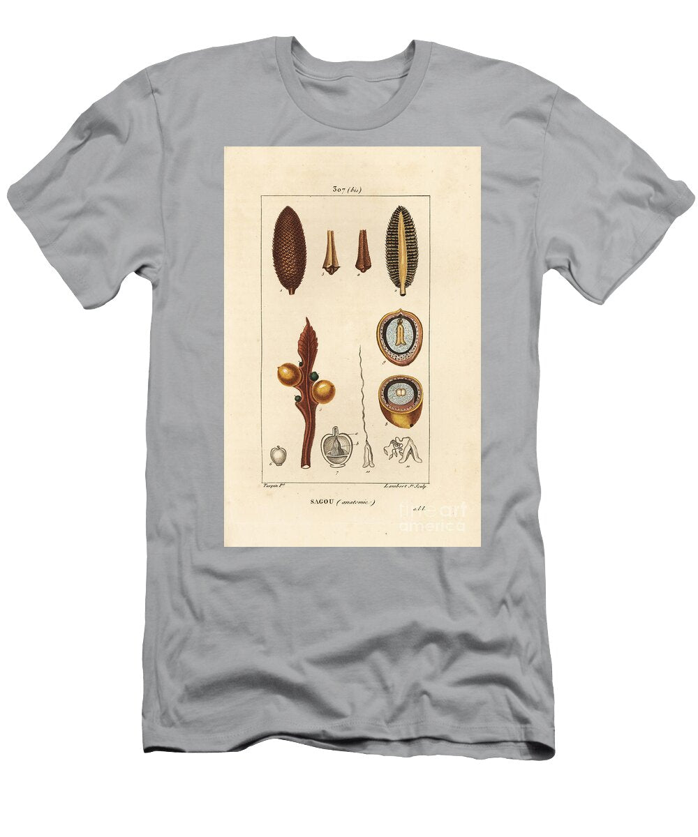 Large Branch or Large Cycas Seeds Queen Sago Cycas Circinalis Showing Seed and Section Pierre Jean Francois Turpin T-Shirt