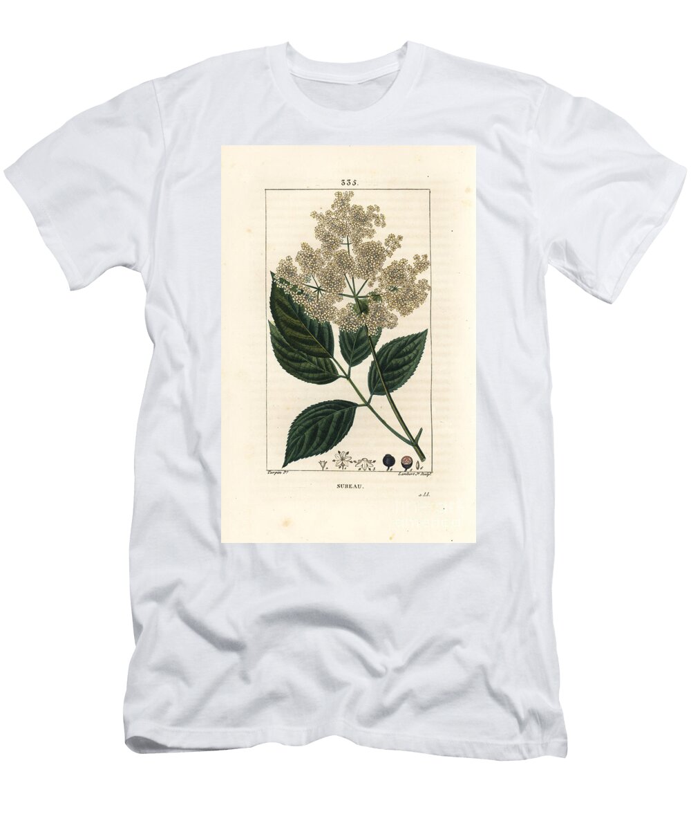 Large Elderberry or Black Elderberry Common Elder Tree Sambucus Nigra Pierre Jean Francois Turpin T-Shirt