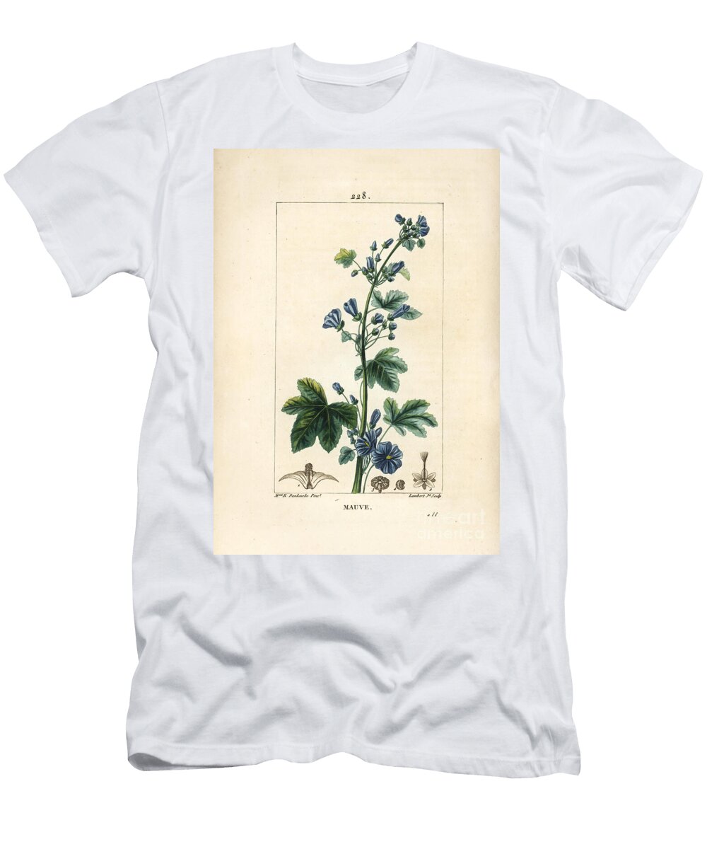 Large Purple or Wild Mauve Forest Mauve Dwarf Mallow Malva Sylvestris European School T-Shirt