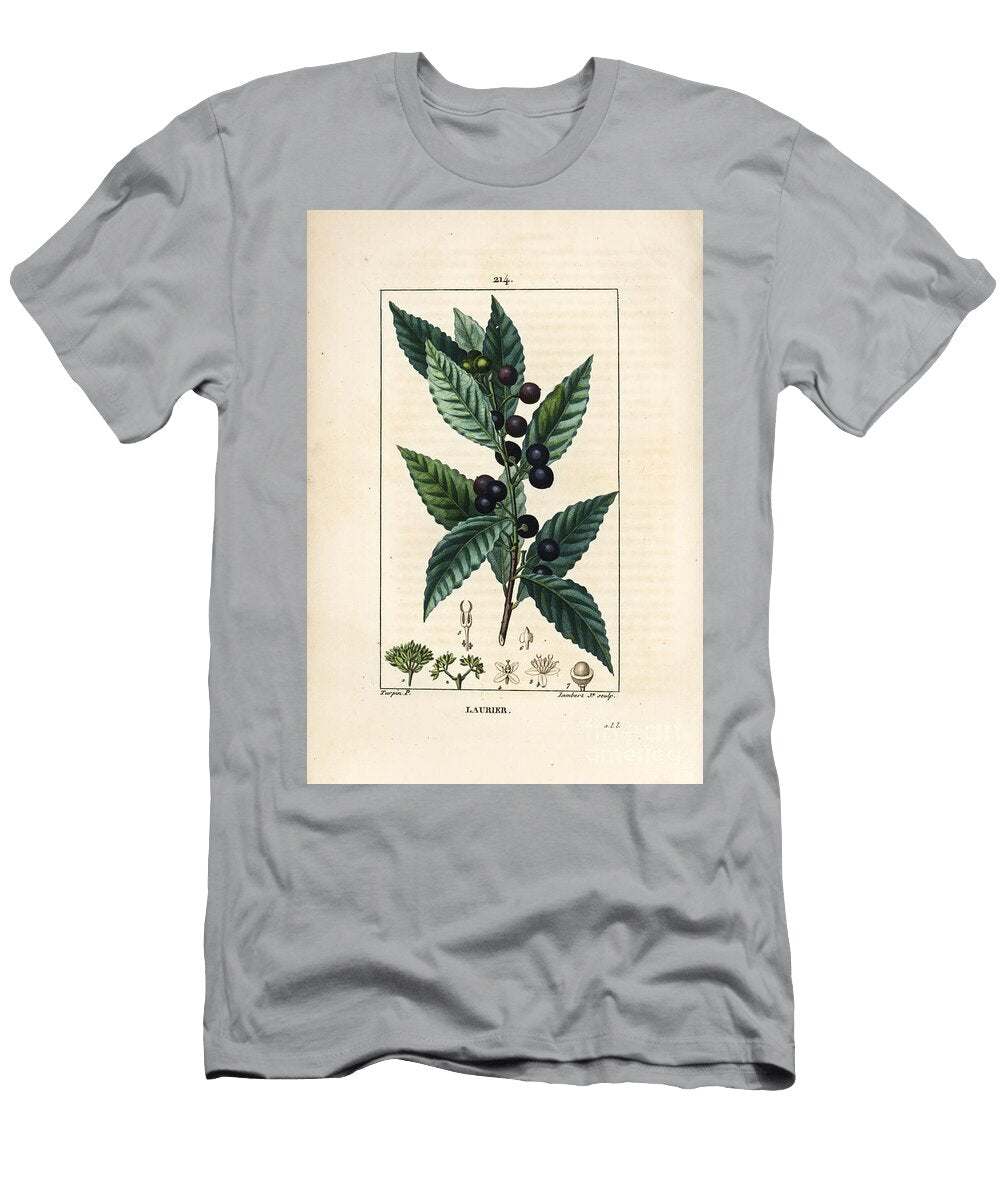 Laurel Tree Laurus Nobilis with Leaf Berry and Seed Pierre Jean Francois Turpin T-Shirt
