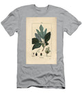 Laurier Des Iroquois White Sassafras Tree Sassafras Albidum with Flower Leaf Fruit and Seed Pierre Jean Francois Turpin T-Shirt