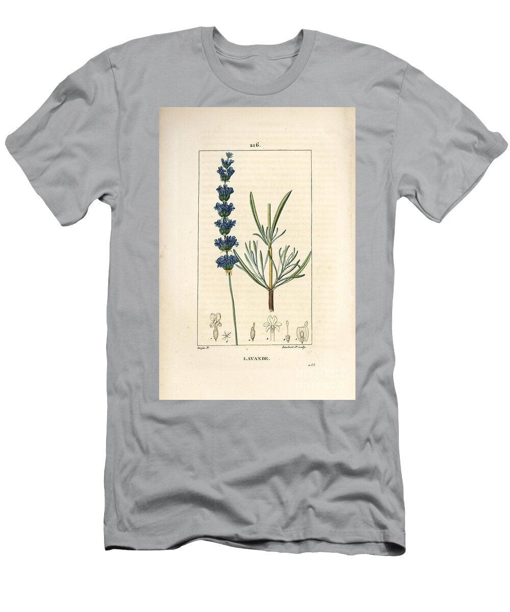 Lavender Aspic Lavender Lavendula Spica Pierre Jean Francois Turpin T-Shirt