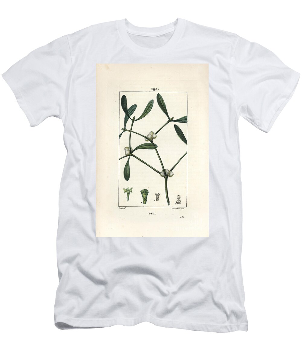 Leafy Mistletoe Mistletoe Vissperm Album Pierre Jean Francois Turpin T-Shirt