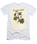 Leaves and Budding Grapes on a Grape Vine Vitis Vinifera the Younger Dupin T-Shirt