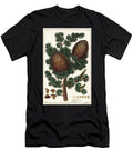 Lebanon Cedar Cedrus Libani Pinus Cedrus Linn the Younger Dupin T-Shirt