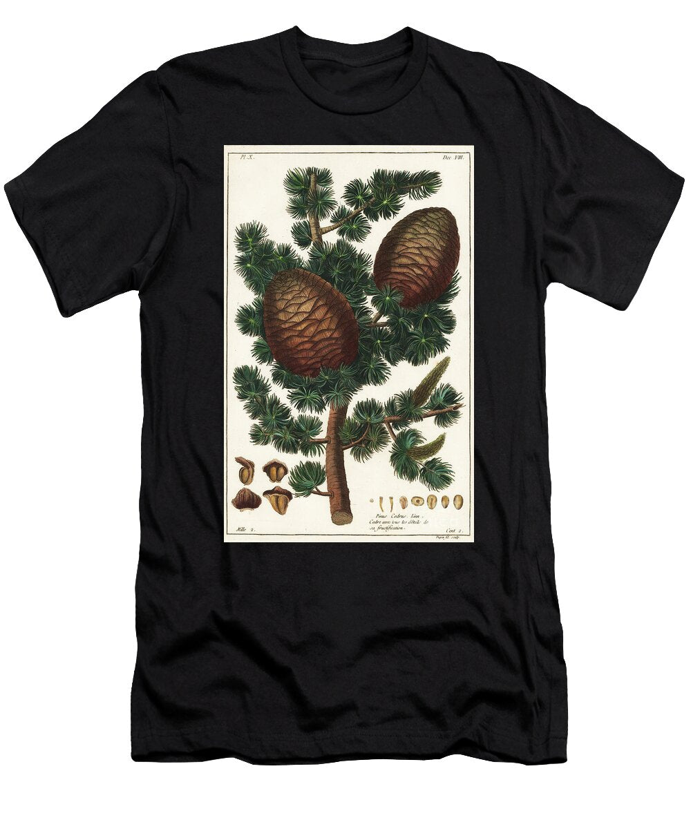 Lebanon Cedar Cedrus Libani Pinus Cedrus Linn the Younger Dupin T-Shirt