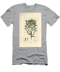 Lettuce Lettuce Lactuca Sativa Pierre Jean Francois Turpin T-Shirt