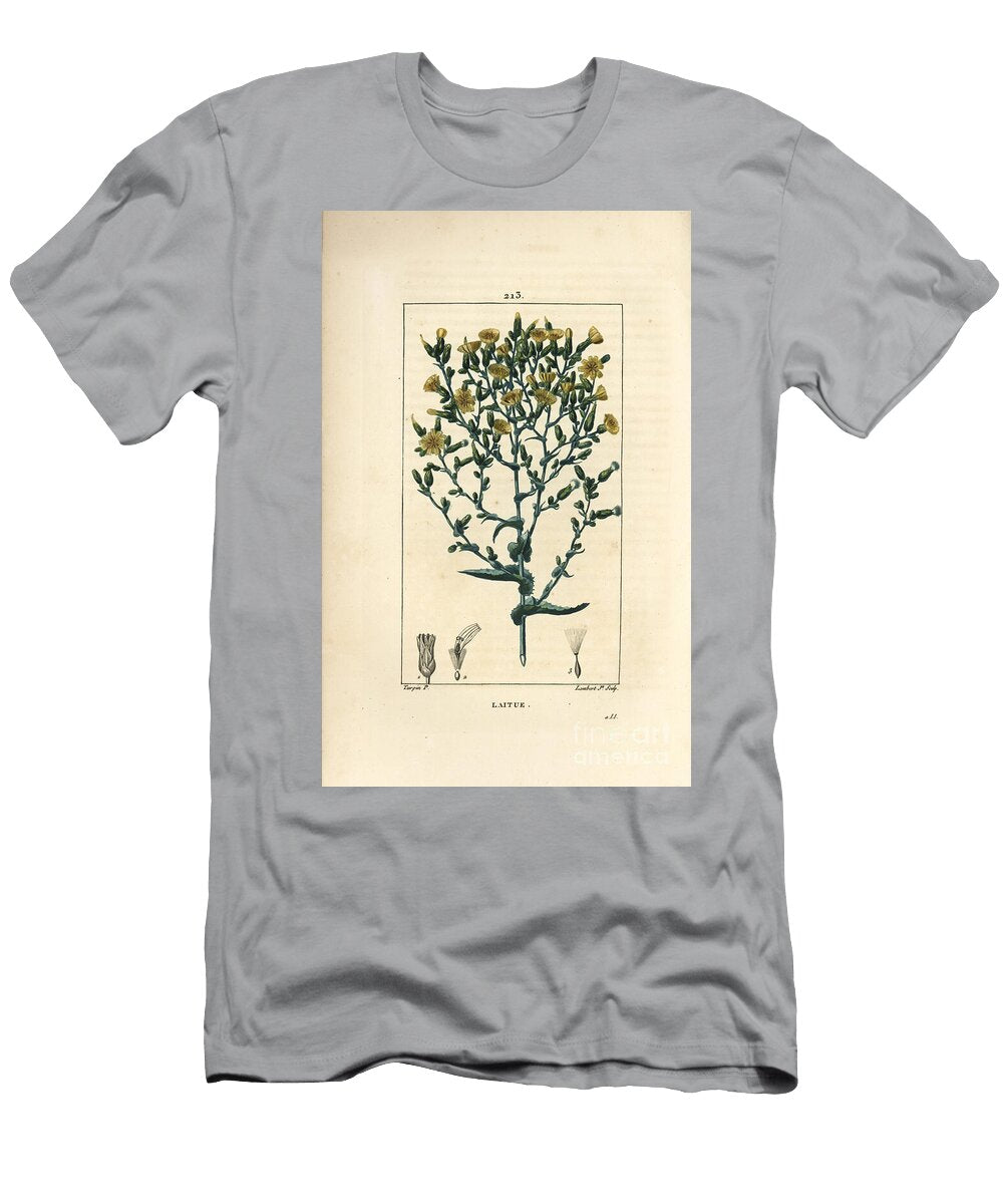 Lettuce Lettuce Lactuca Sativa Pierre Jean Francois Turpin T-Shirt