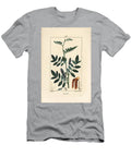 Licorice or Liquorice Glycyrrhiza Glabra with Flower Leaf Bark Woody Branch and Seed Pierre Jean Francois Turpin T-Shirt