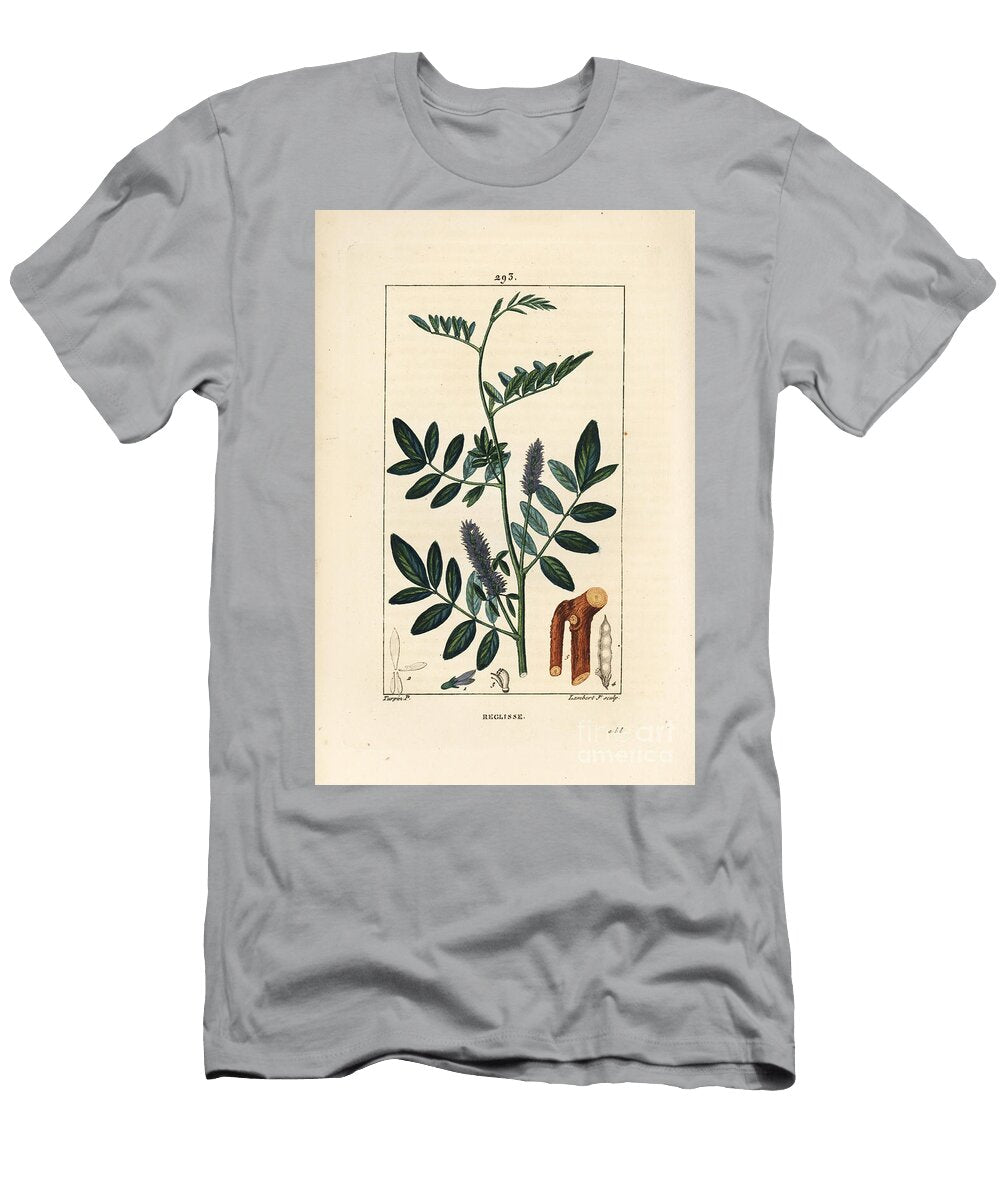Licorice or Liquorice Glycyrrhiza Glabra with Flower Leaf Bark Woody Branch and Seed Pierre Jean Francois Turpin T-Shirt