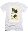 Lime Tree or Linden Tree Tilia Europea with Leaf Branch Flower and Seed Pierre Jean Francois Turpin T-Shirt
