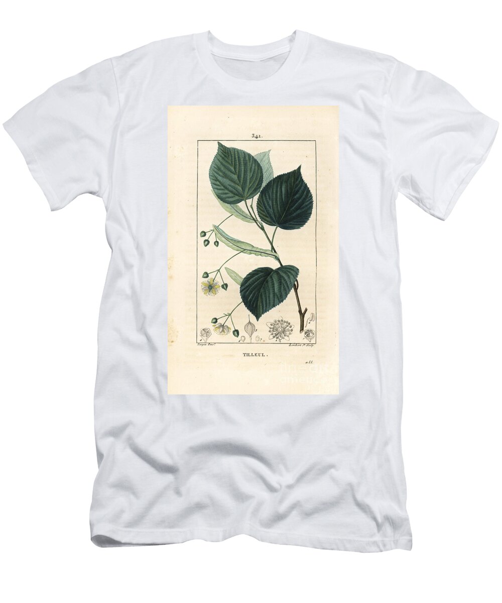 Lime Tree or Linden Tree Tilia Europea with Leaf Branch Flower and Seed Pierre Jean Francois Turpin T-Shirt