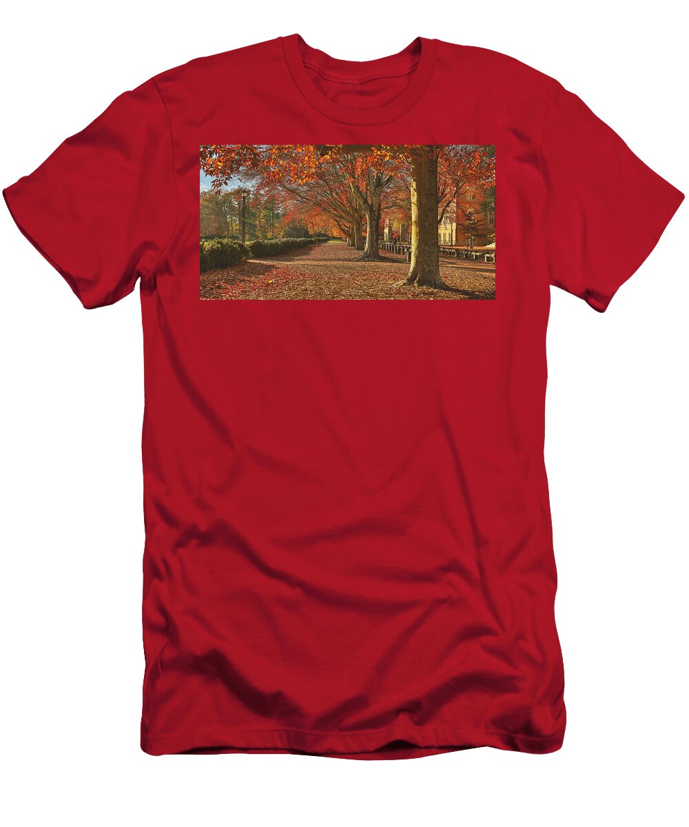 Lovely Autumn Pathway Mountain Dreams T-Shirt