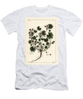 Low Mallow or Round Leaved Mallow Malva Pusilla the Younger Dupin T-Shirt