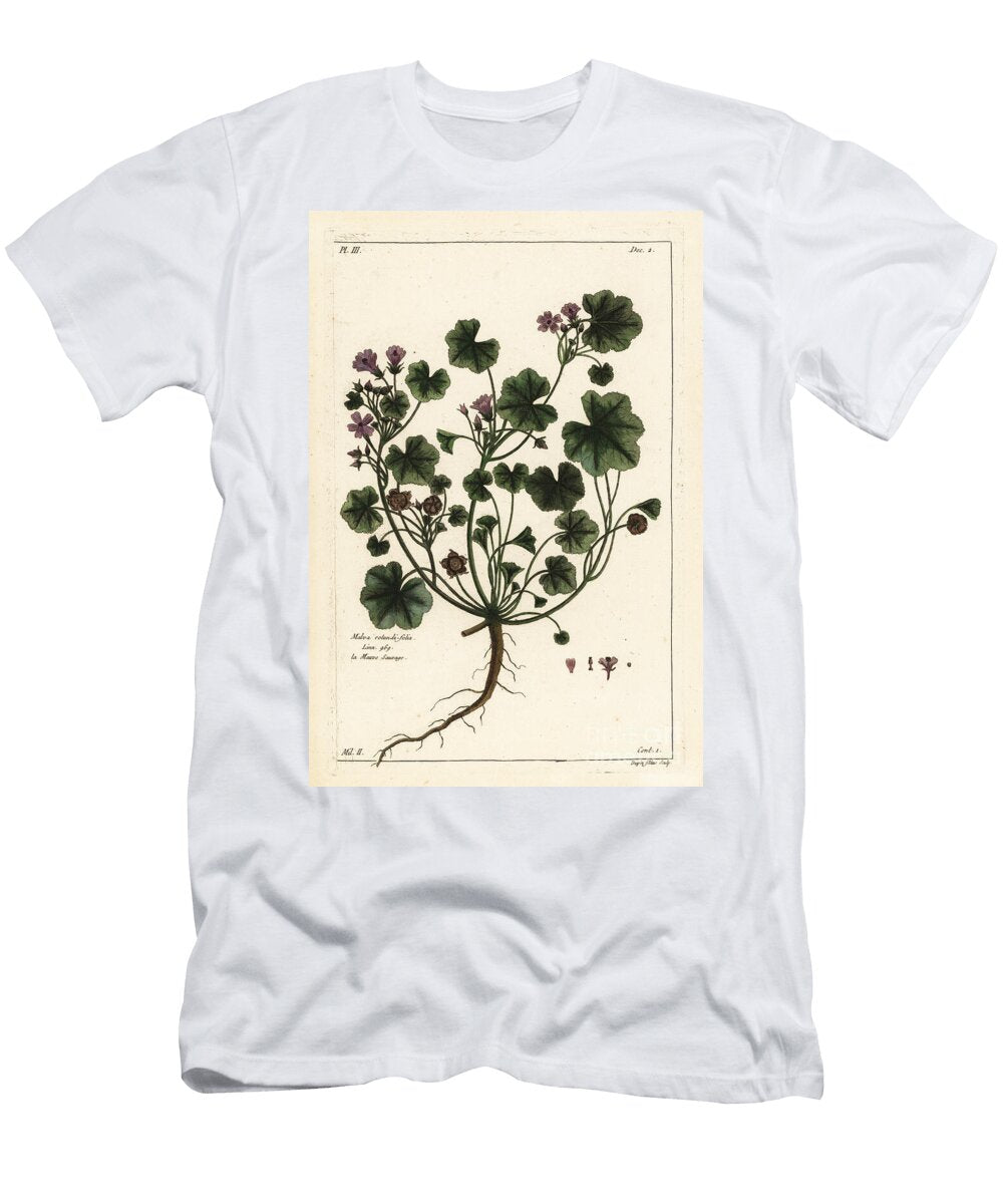 Low Mallow or Round Leaved Mallow Malva Pusilla the Younger Dupin T-Shirt