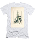 Lupin White Lupin Lupinus Sativus Pierre Jean Francois Turpin T-Shirt
