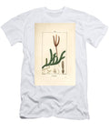 Lycopod Officinal or Grass with Clubs Common Club Moss Lycopodium Clavatum Pierre Jean Francois Turpin T-Shirt