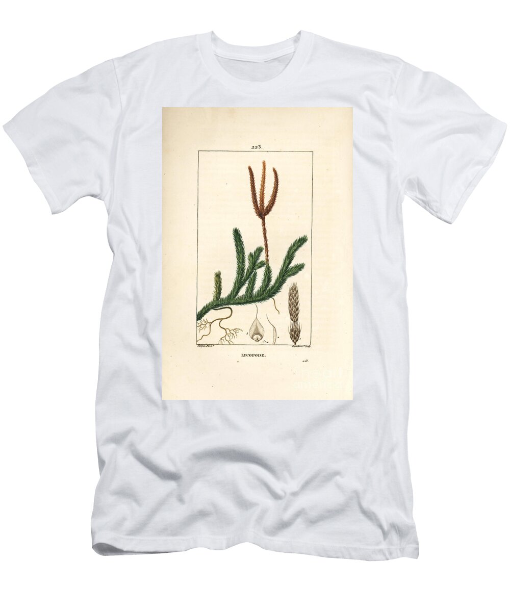 Lycopod Officinal or Grass with Clubs Common Club Moss Lycopodium Clavatum Pierre Jean Francois Turpin T-Shirt