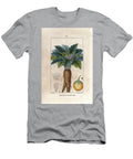 Mandragore or Mandragore Officinale Mandrake Mandragora Officinarum European School T-Shirt