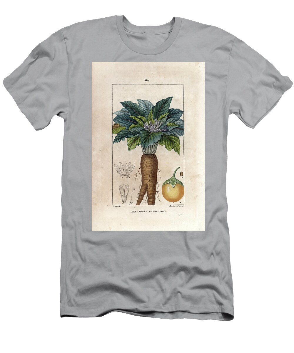 Mandragore or Mandragore Officinale Mandrake Mandragora Officinarum European School T-Shirt