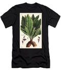 Mandrake Female Mandragora Officinarum Atropa Mandragora Mandragore Femelle the Younger Dupin T-Shirt