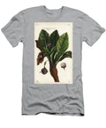 Mandrake Mandragora Officinarum the Younger Dupin T-Shirt