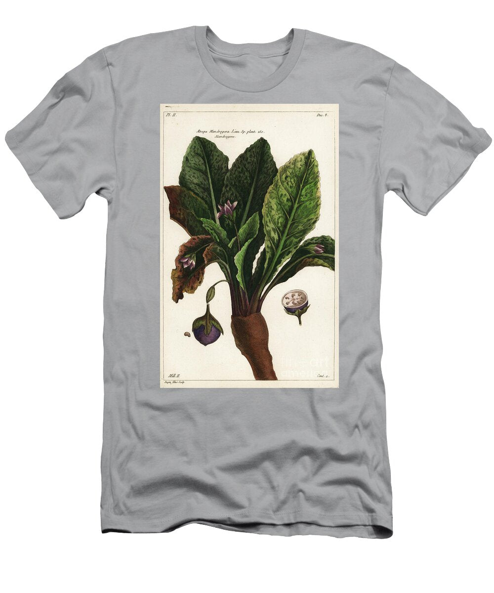 Mandrake Mandragora Officinarum the Younger Dupin T-Shirt