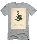 Marigold Calendula Officinalis with Flower Leaf and Stalk Pierre Jean Francois Turpin T-Shirt