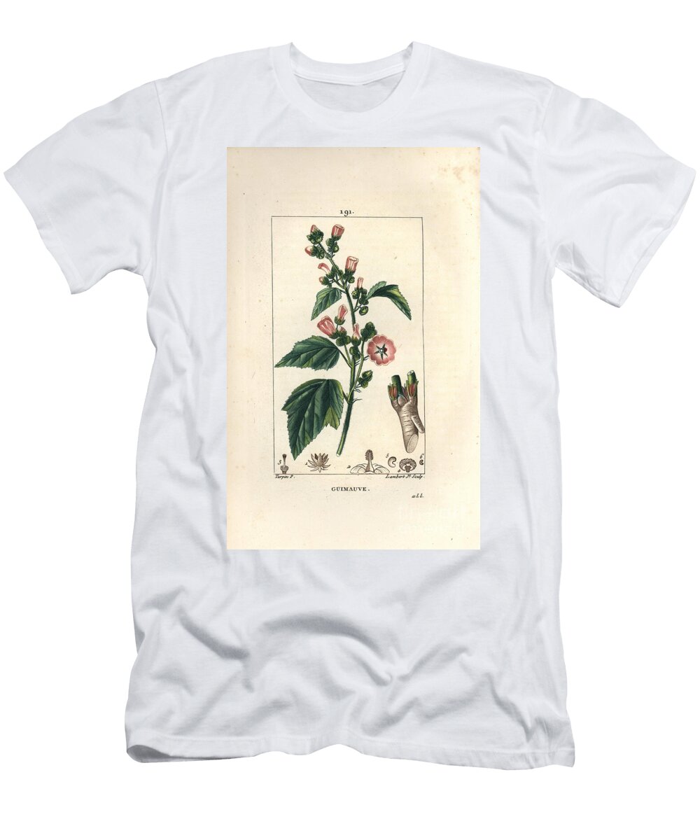 Marshmallow Wild Marshmallow or White Mallow Marsh Mallow Althaea Officinalis Pierre Jean Francois Turpin T-Shirt