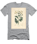 Matricary Feverfew Matricaria Vulgaris Pierre Jean Francois Turpin T-Shirt