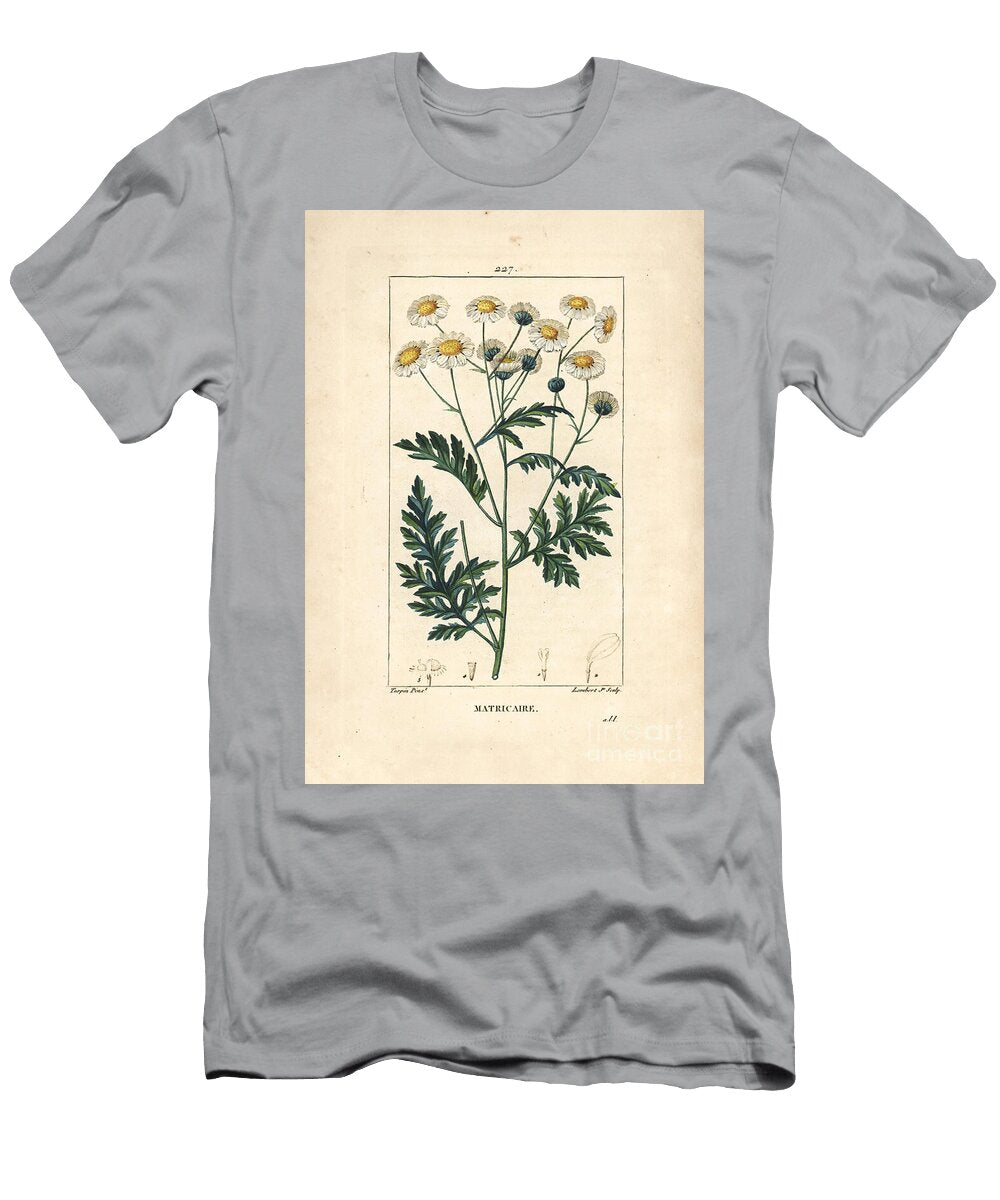 Matricary Feverfew Matricaria Vulgaris Pierre Jean Francois Turpin T-Shirt
