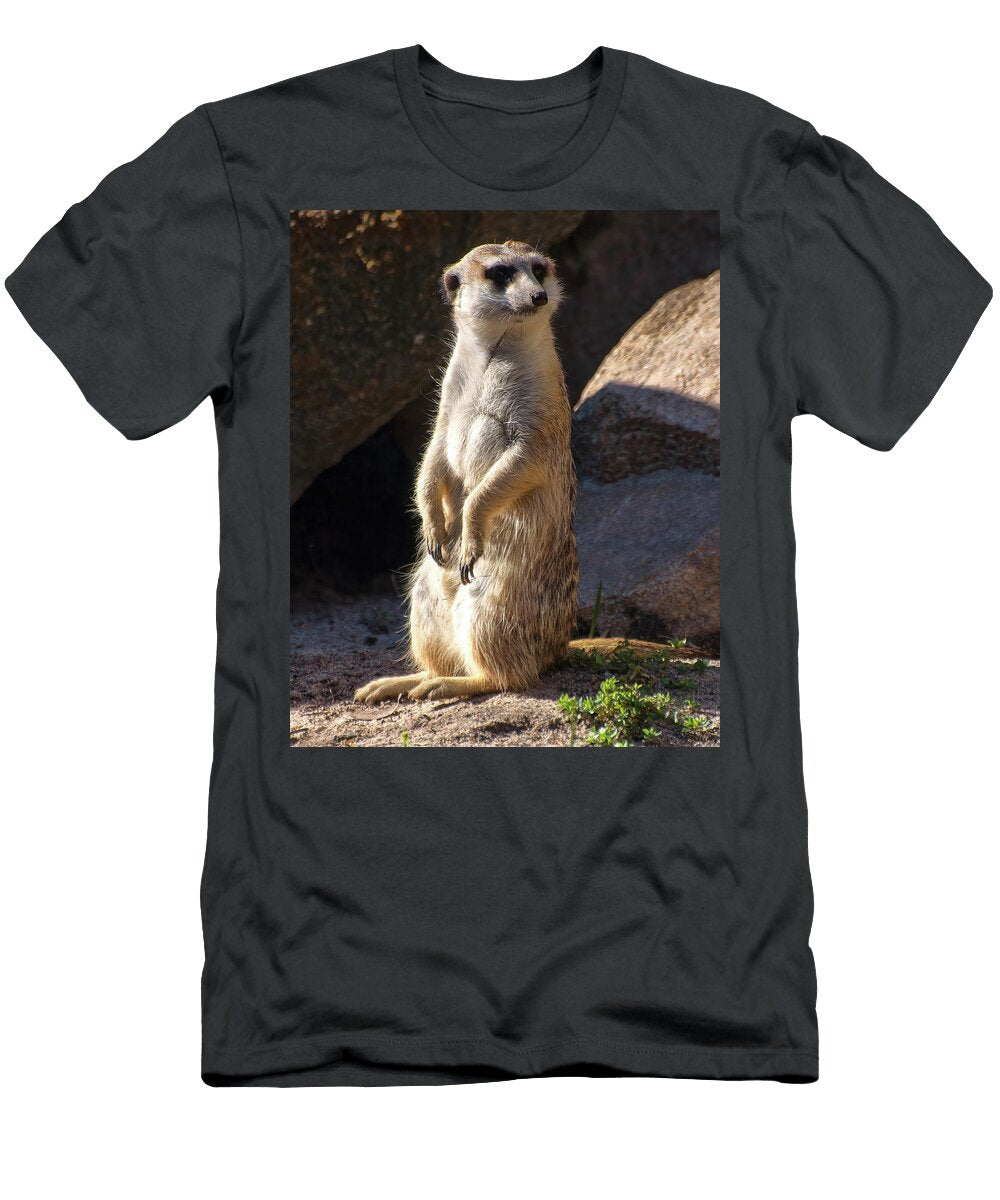 Meerkat Looking Left Flees Photos T-Shirt