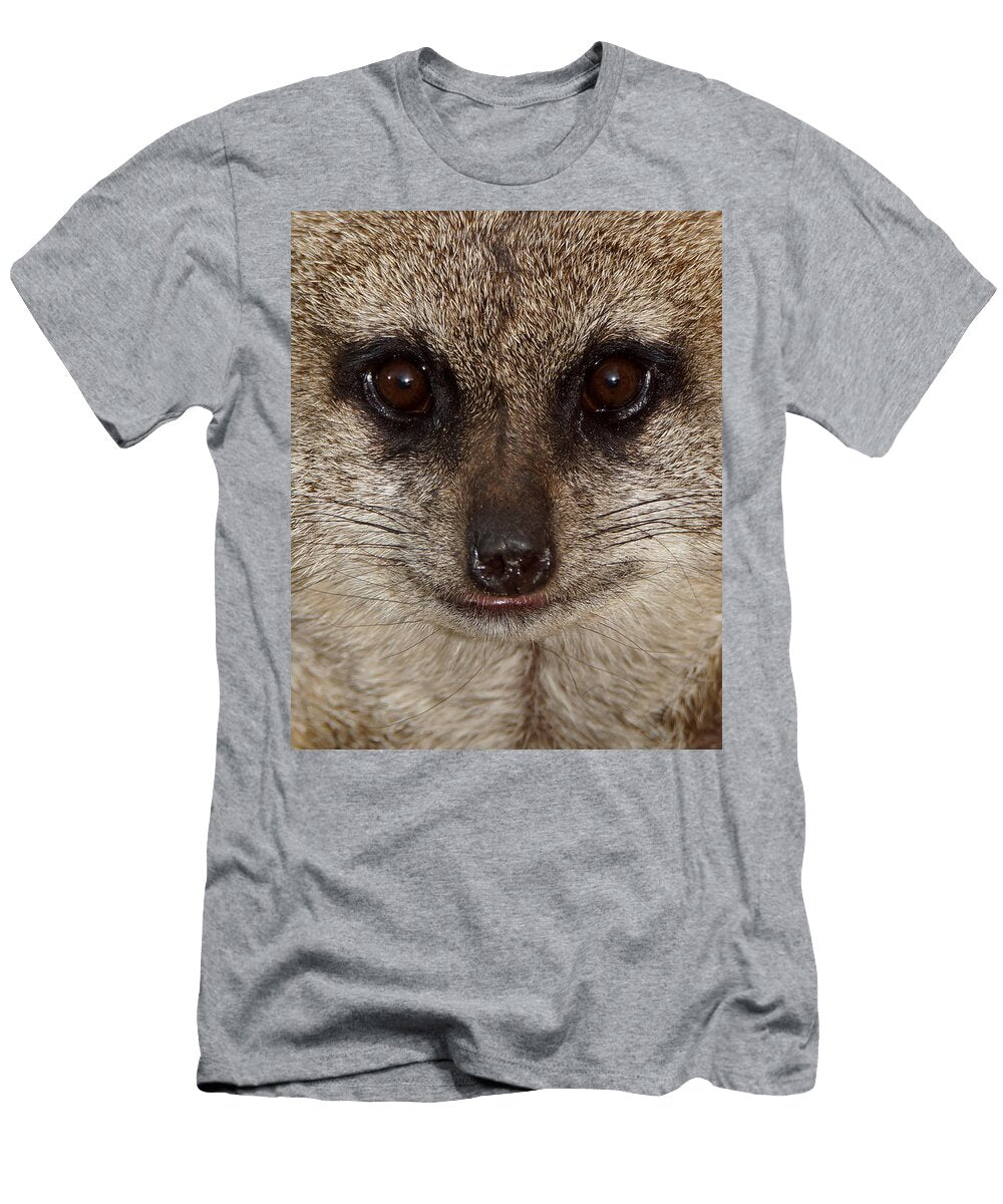 Meerkat Stare Down Ernie Echols T-Shirt
