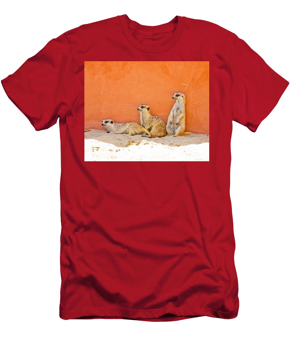 Meerkats Patrycja Polechonska T-Shirt