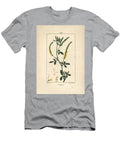 Melilot Melilot Trefoil Melitotus Officinarum Pierre Jean Francois Turpin T-Shirt