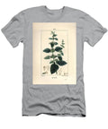 Melisse Des Jardins or Melisse Cultivated Common Balm Melissa Hydrtensis Pierre Jean Francois Turpin T-Shirt