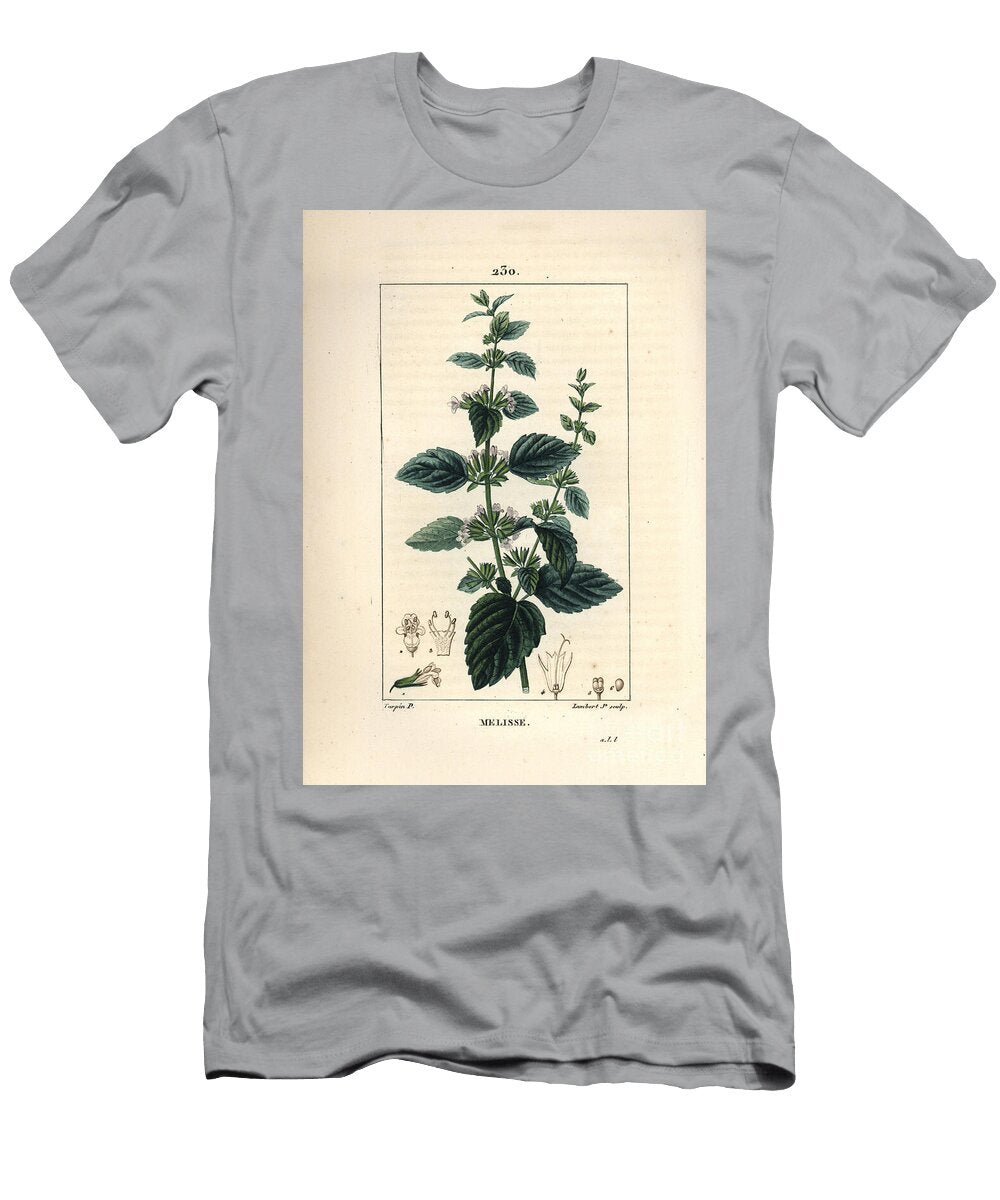 Melisse Des Jardins or Melisse Cultivated Common Balm Melissa Hydrtensis Pierre Jean Francois Turpin T-Shirt