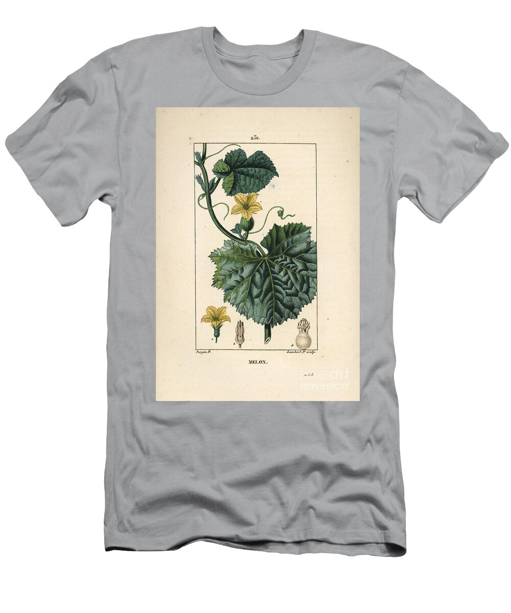 Melon Flowers Melon Flower Cucumis Melo with Flower Leaf and Tendril Pierre Jean Francois Turpin T-Shirt