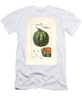Melon Fruit Melon Cucumis Melo with Fruit in Section Pierre Jean Francois Turpin T-Shirt