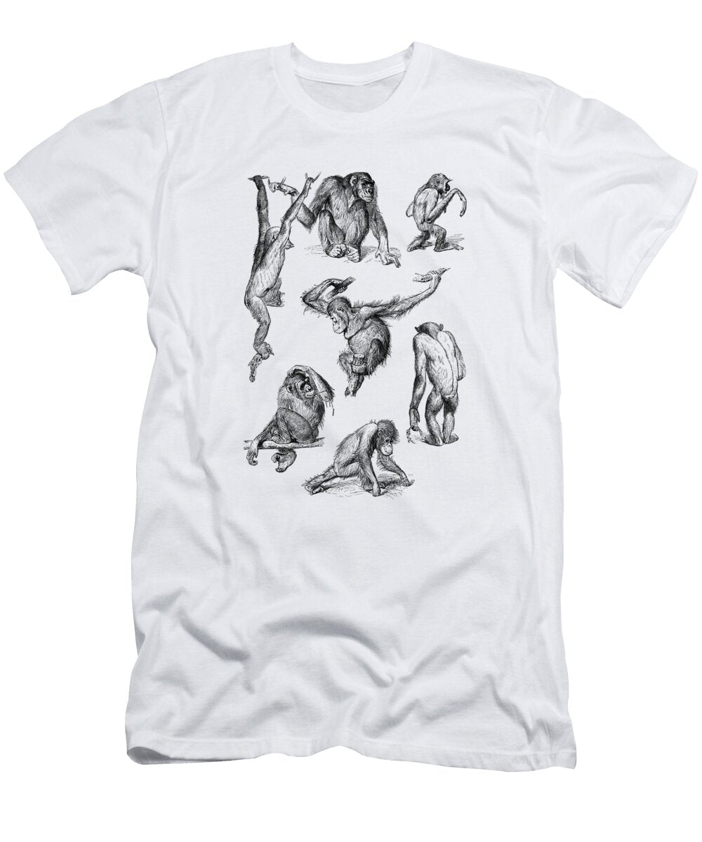 Monkey Study Madame Memento T-Shirt