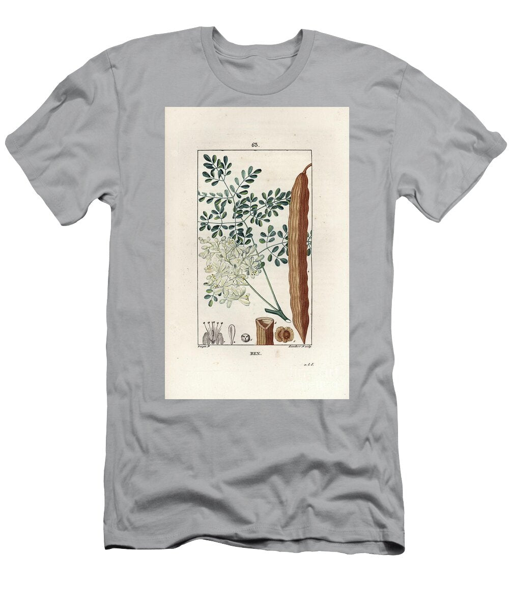 Moringa Drumstick Tree or Horseradish Tree Moringa Oleifera European School T-Shirt