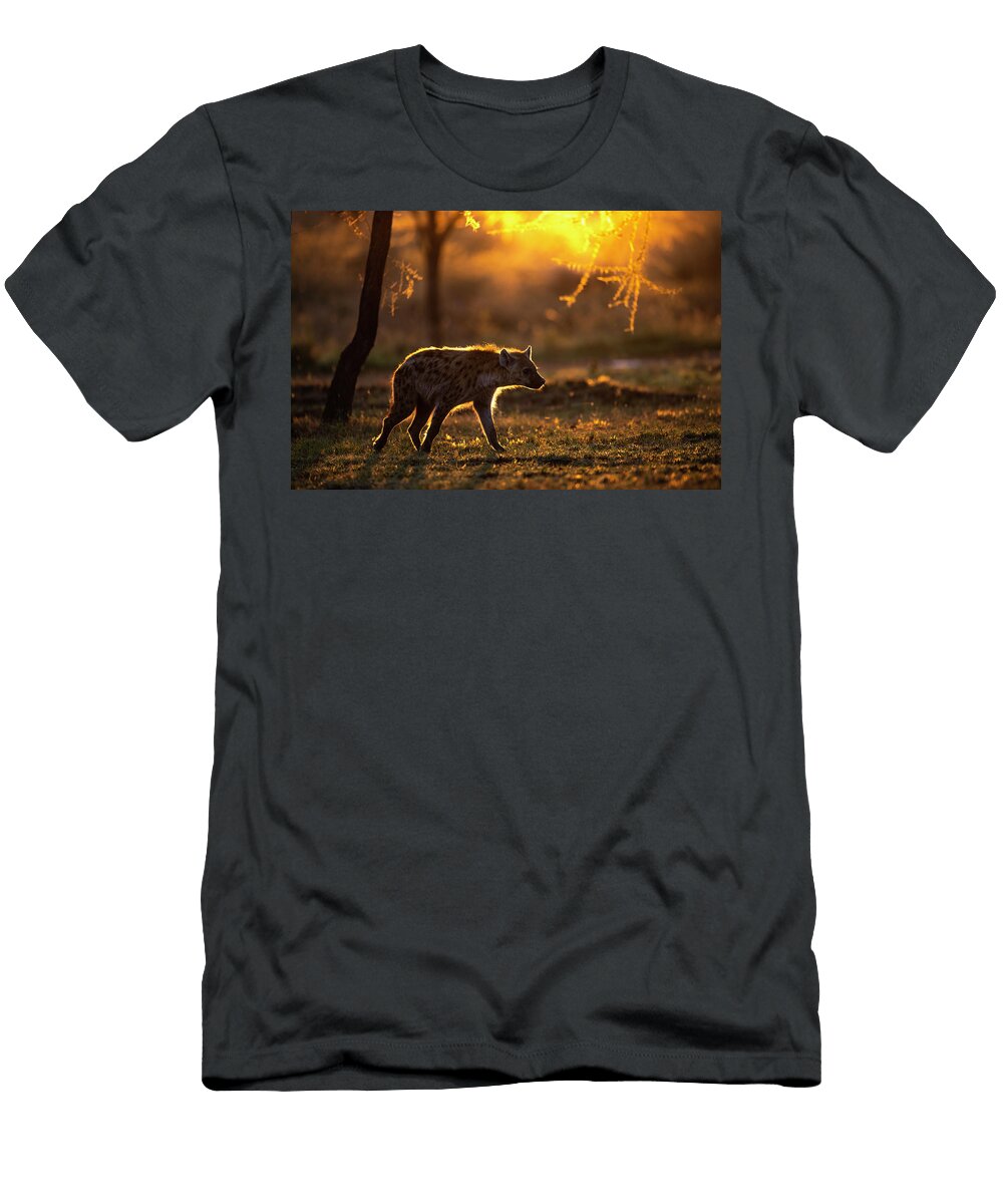 Morning Prowl Peter Mangolds T-Shirt