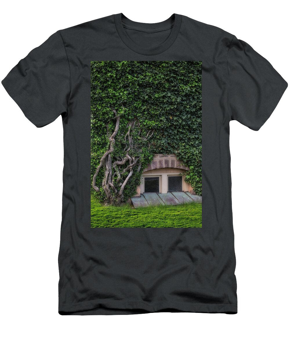 Nassau Hall Princeton Ivy Susan Candelario T-Shirt