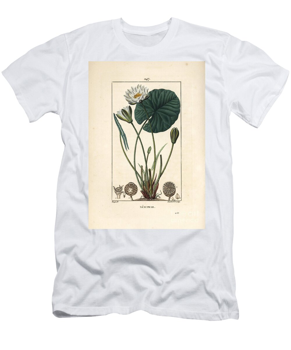 Nenuphar Blanc White Water Lily Nymphaea Alba with Leaf Flower Seedpod and Seeds Pierre Jean Francois Turpin T-Shirt