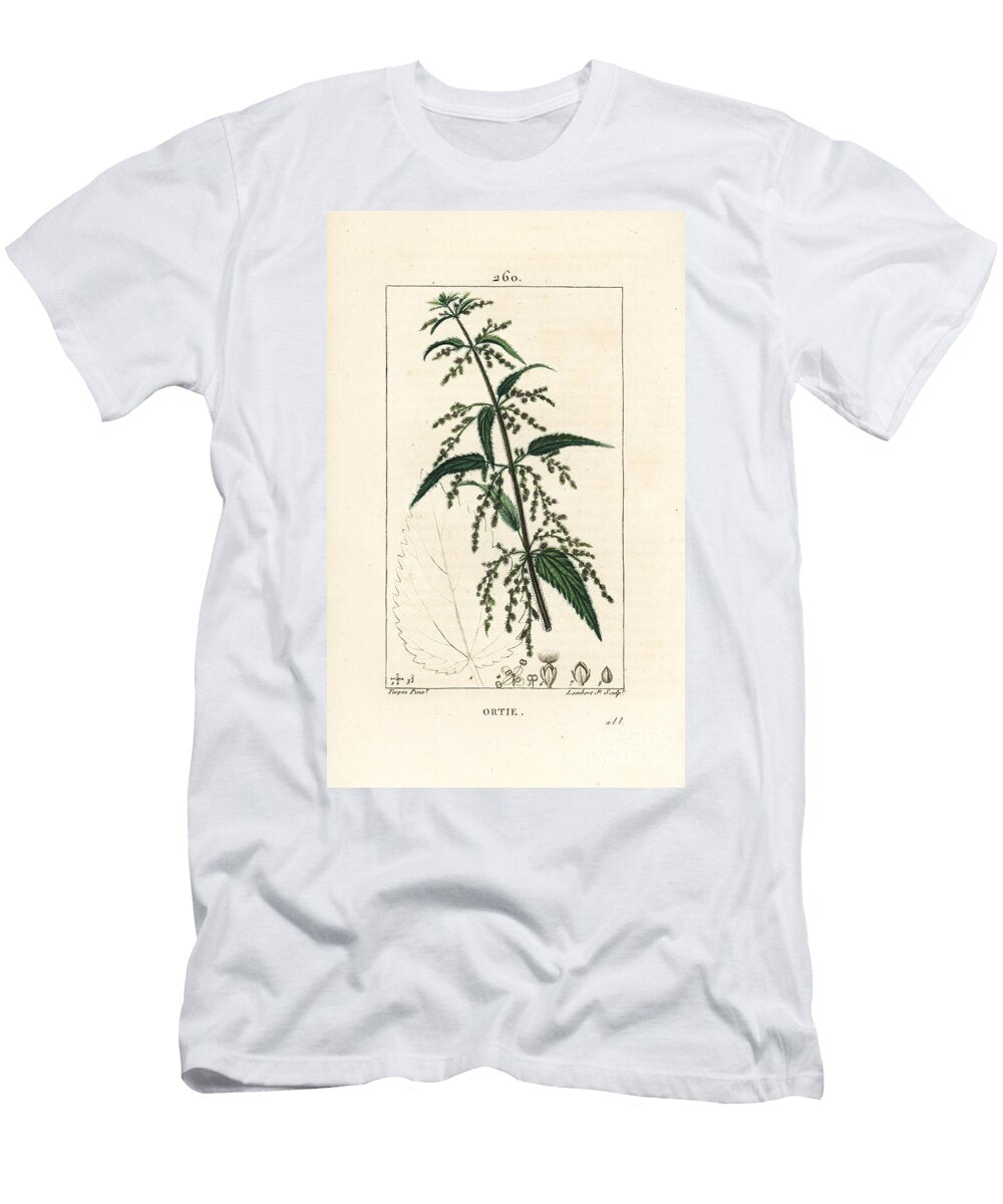 Nettle Common Stinging Nettle Urtica Dioica with Flower Seed Stalk and Leaf Outline Pierre Jean Francois Turpin T-Shirt